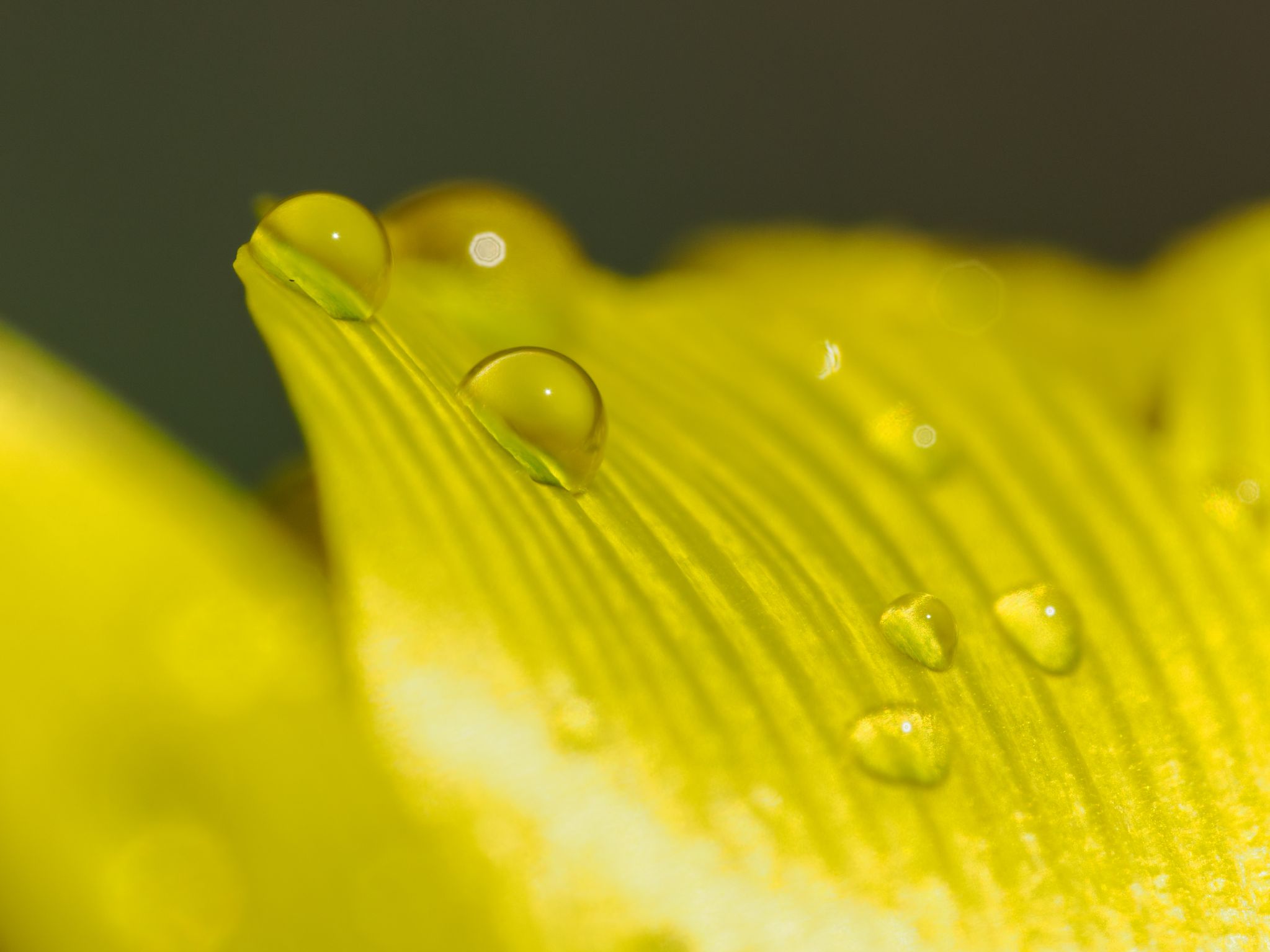 103 260416 1442 H  2HR0092 DxO DeepPRIME 3